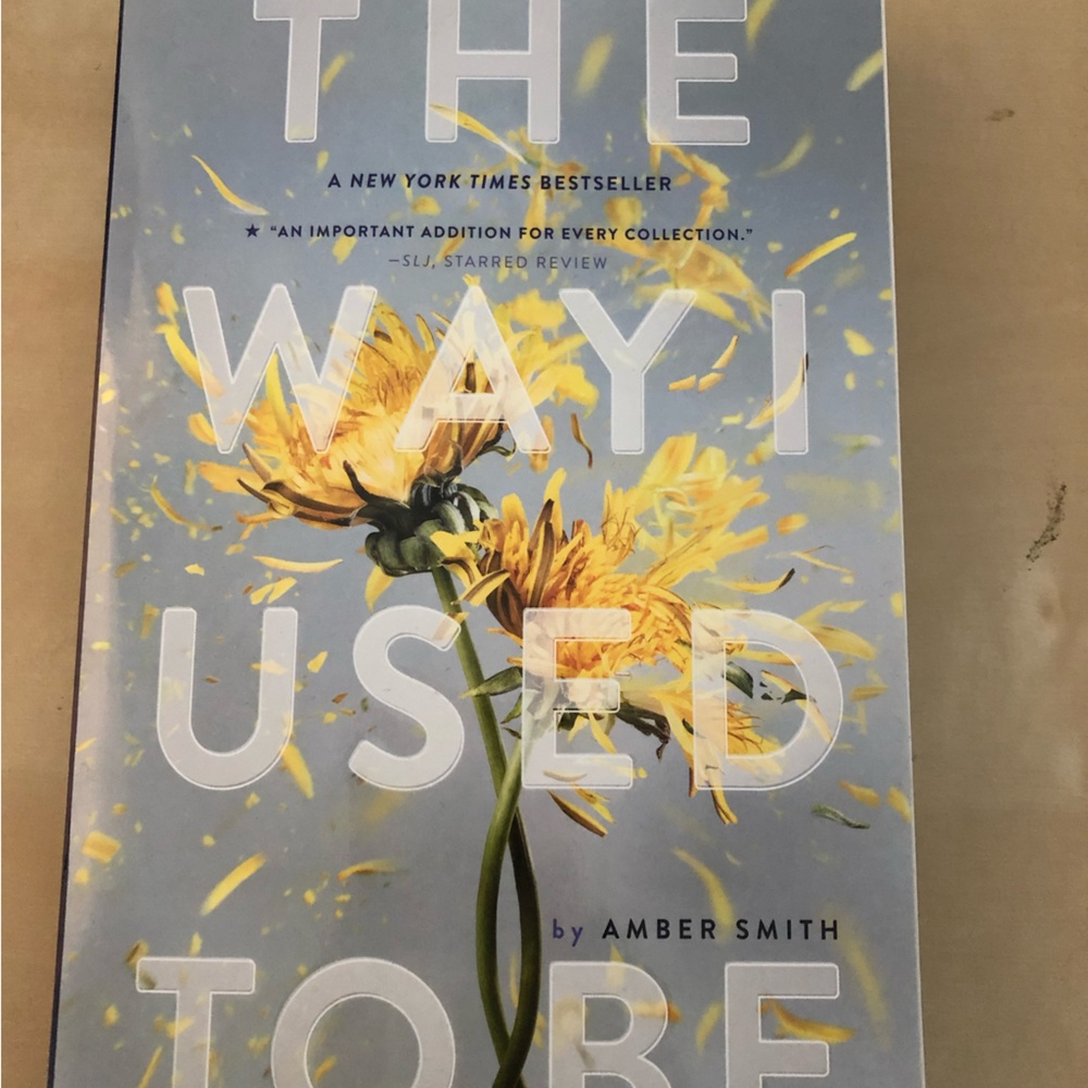 The way I used to be novel